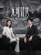 无可替代电视剧